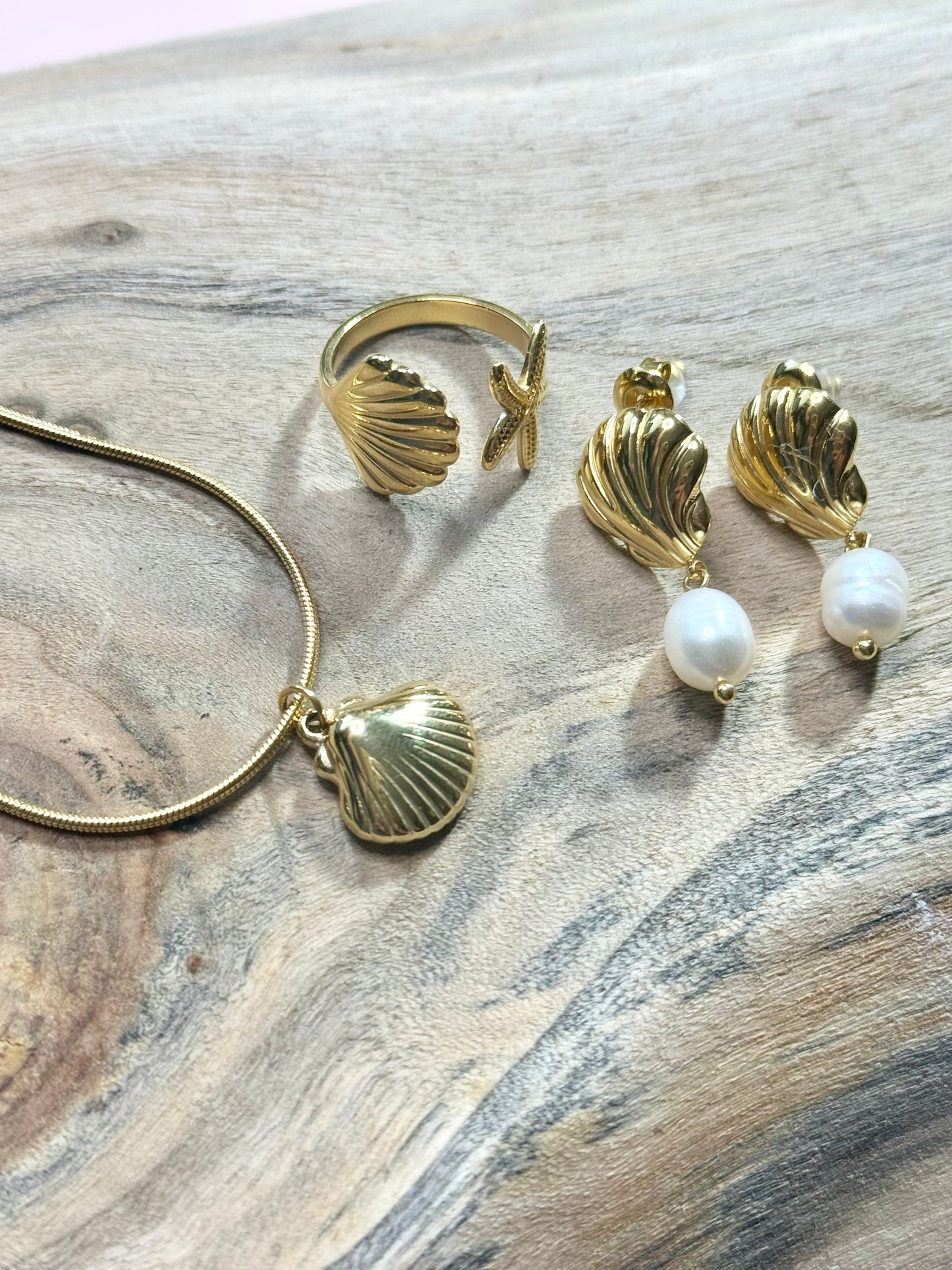 Gold Seashell Collection 🐚